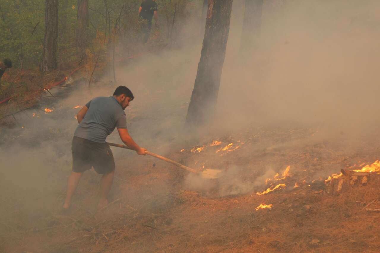 Muğla’da Orman Yangınlarının Acı Tablosu: 3 Yılda Yaklaşık 6 Bin Hektar Alan Kül Oldu 6